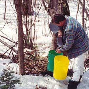 new.madonnahouse.org