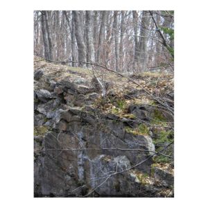 rock face and bush near Combermere