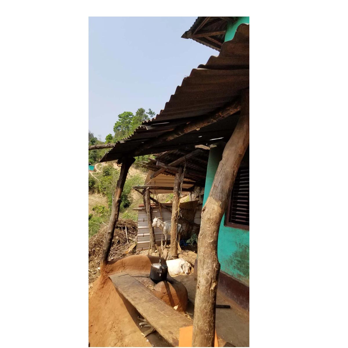 A Tin Roof in Nepal <p>by Linda Owen & Carol Ann Gieske</p>