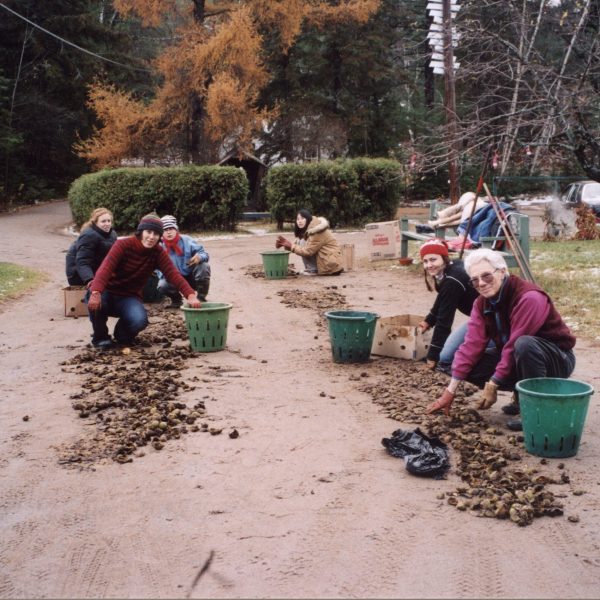 Davis, Mary - and crew crack walnut hulls - fall 2004