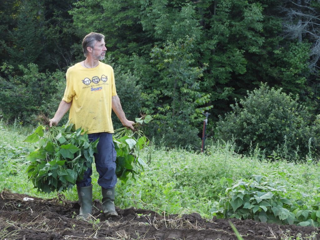 farm-work-service-madonna-house