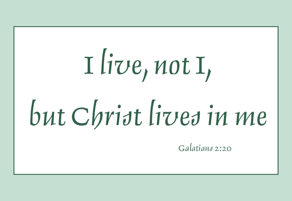 God’s Perfect Plan for Imperfect People <p>by Fr. David May </p>