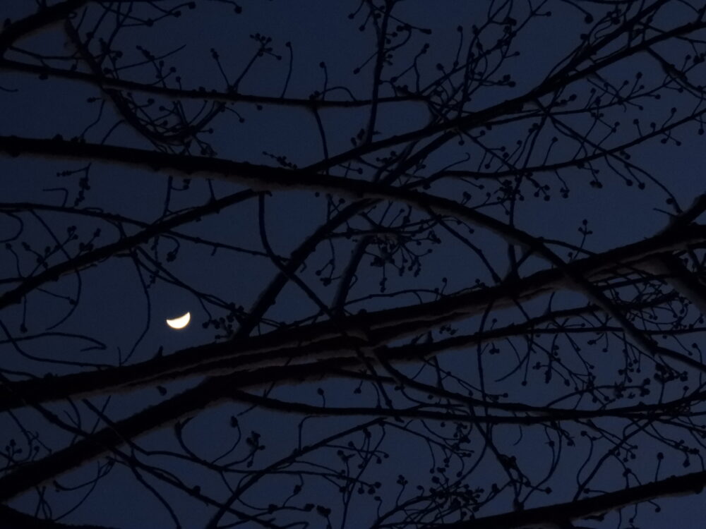 The Darkness of Silence <p>by Fr. Matthew Schneider, LC </p>