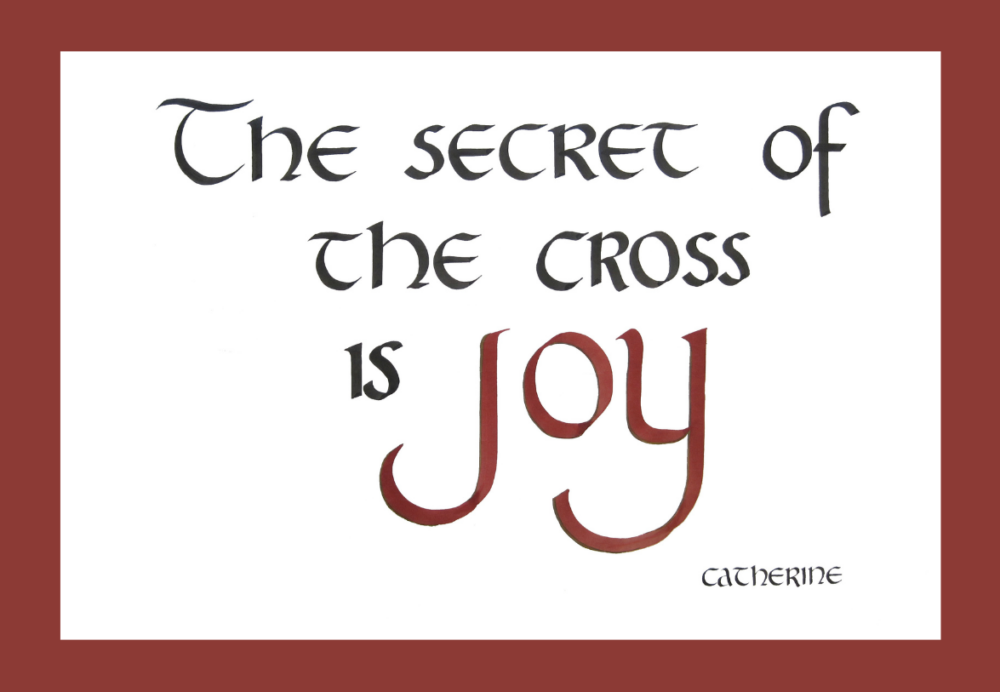 Mercy Hears Our Cry <p>by Fr. David May </p>