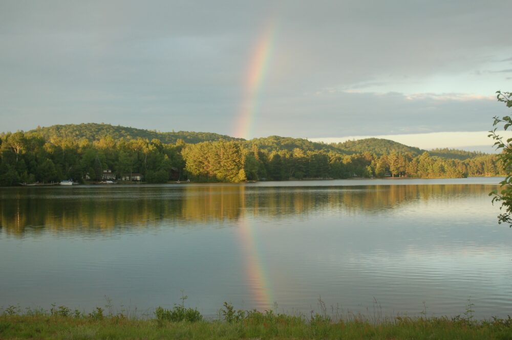 Come See the Rainbow! <p>by Bill Ryan </p>